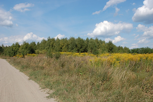 Działka Sprzedaż Wawrów