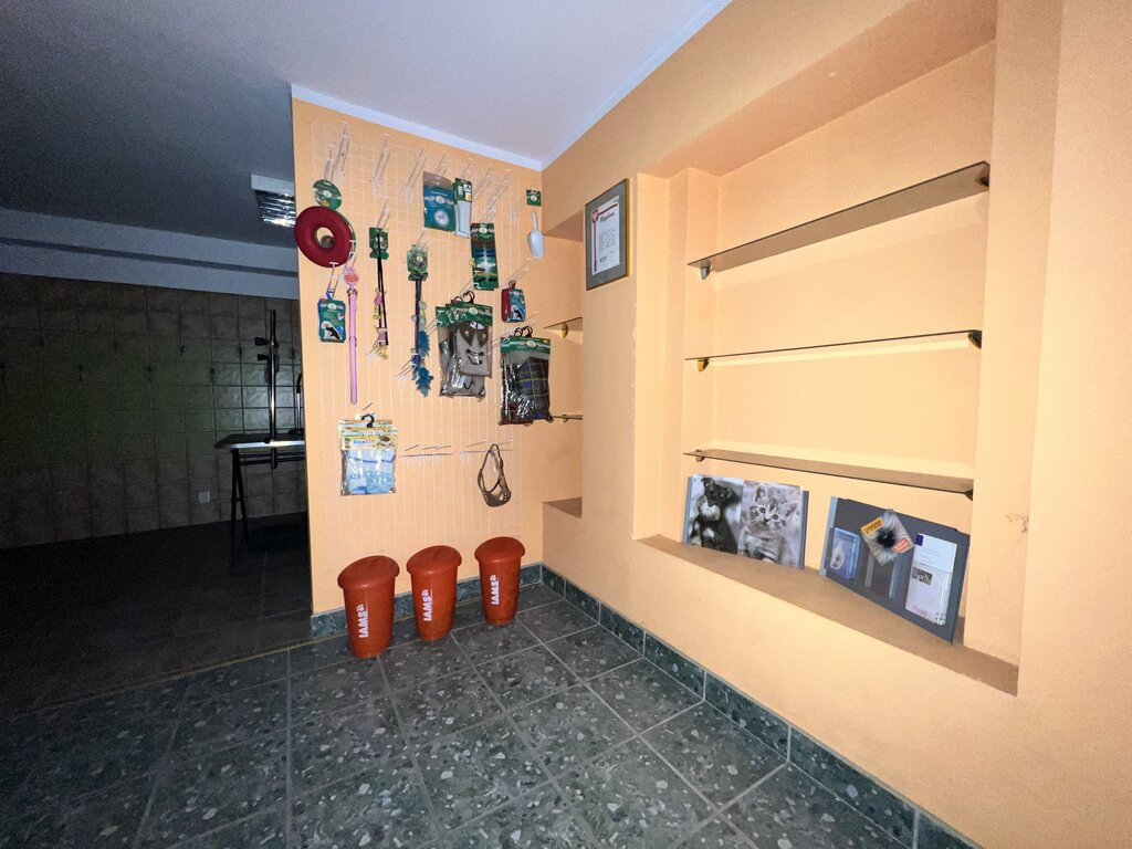 Mieszkanie Sprzedaż Gorzów Wielkopolski Władysława Jagiełły