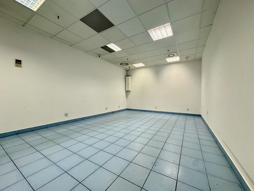 Lokal Wynajem Gorzów Wielkopolski Centrum