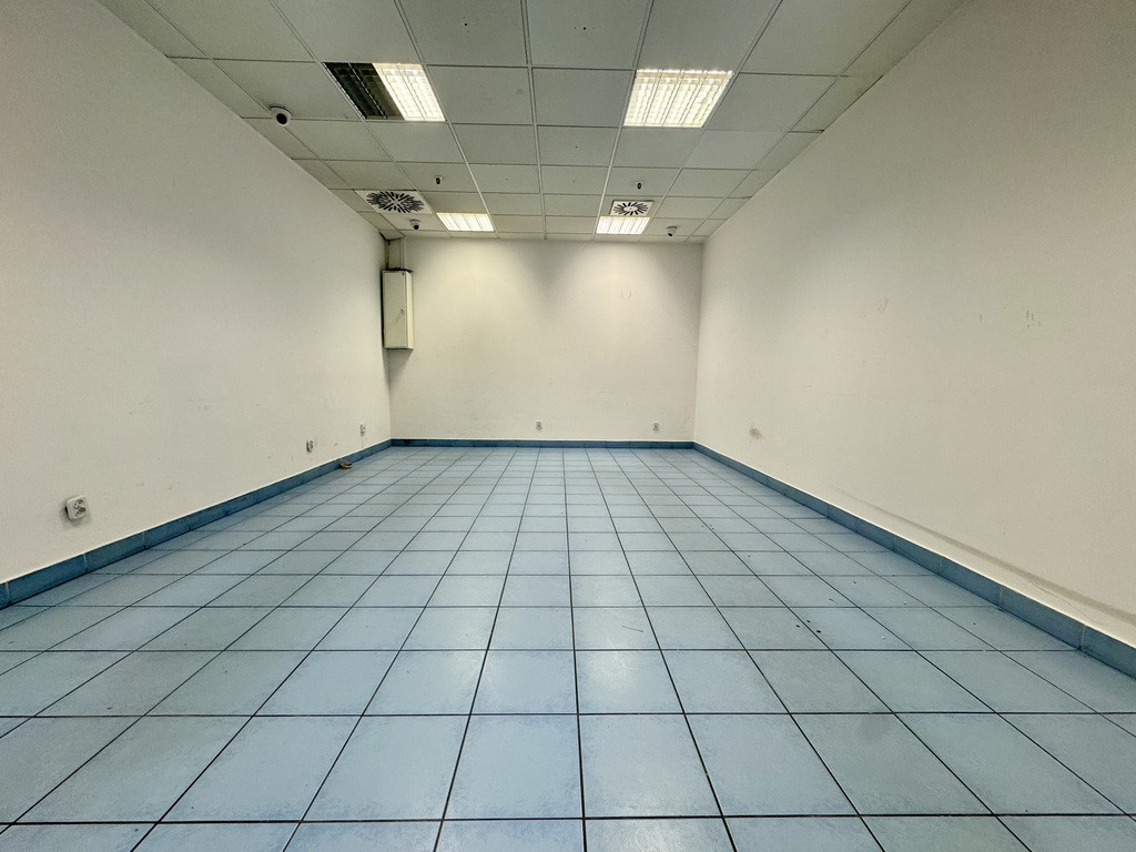 Lokal Wynajem Gorzów Wielkopolski Centrum