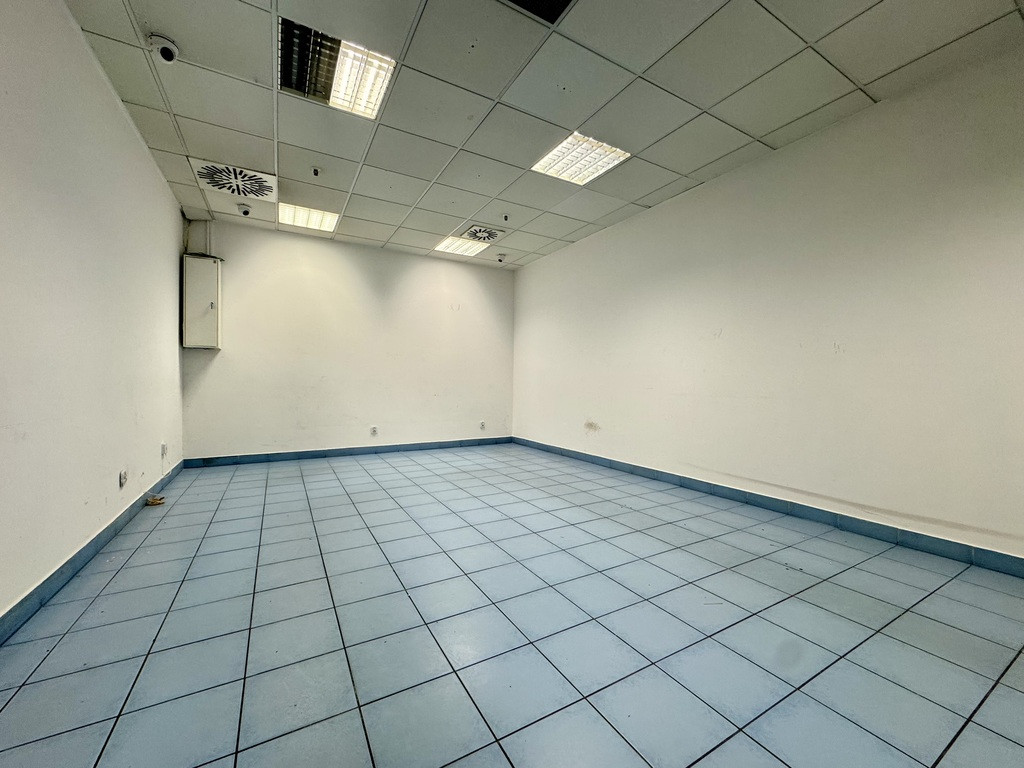 Lokal Wynajem Gorzów Wielkopolski Centrum