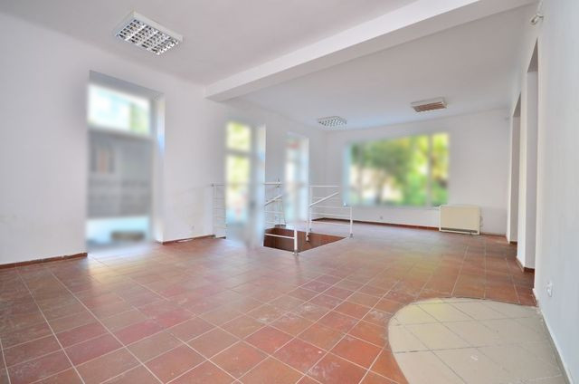 Lokal Wynajem Gorzów Wielkopolski Centrum