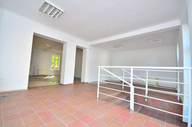 Lokal Wynajem Gorzów Wielkopolski Centrum
