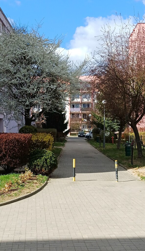 Mieszkanie Sprzedaż Gorzów Wielkopolski Górczyn