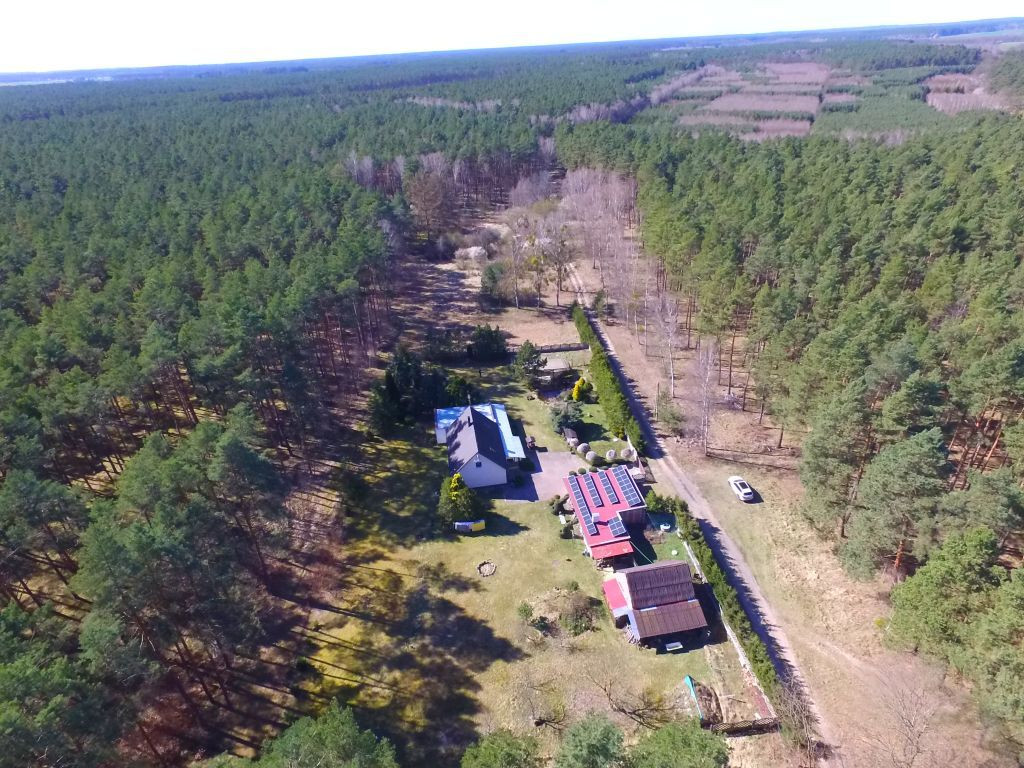 Dom Sprzedaż Borówno