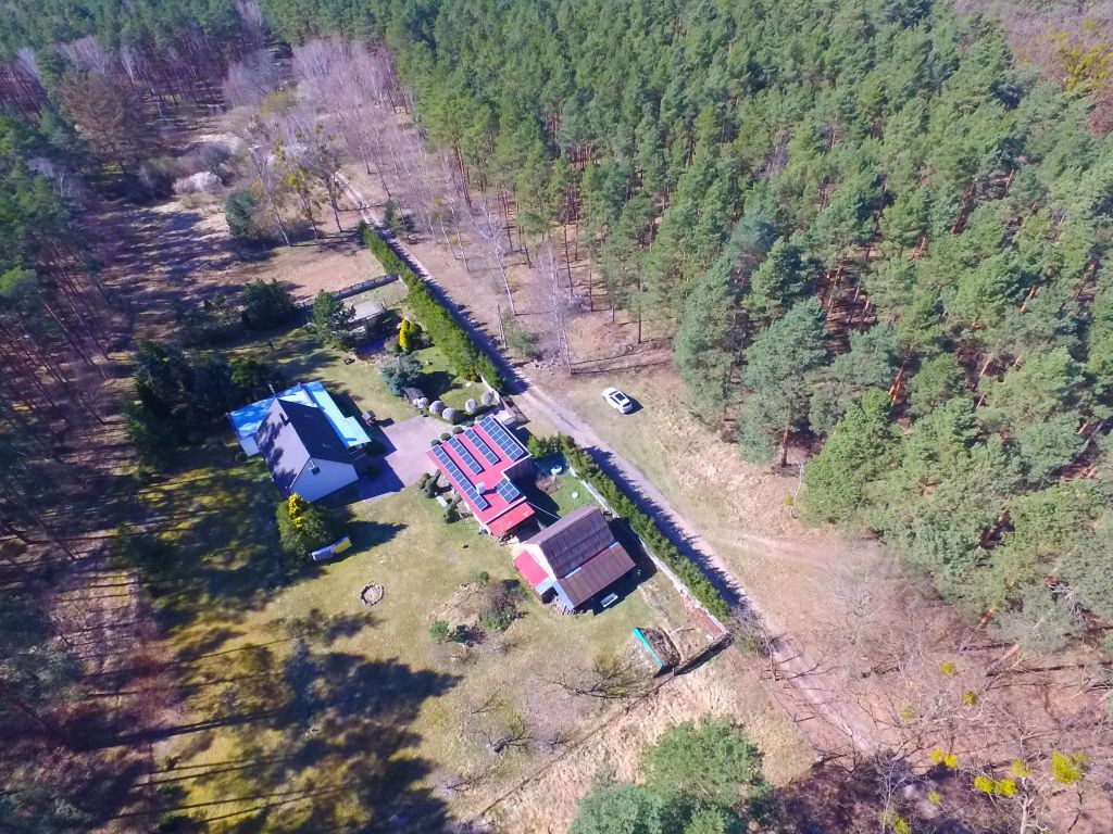 Dom Sprzedaż Borówno