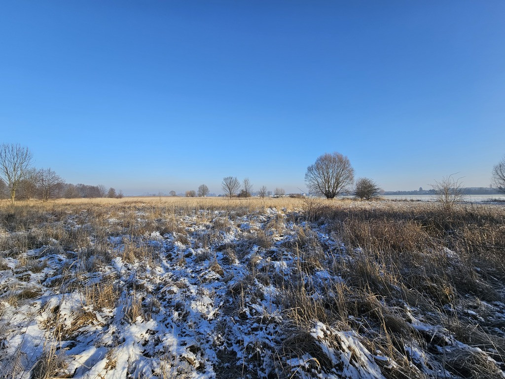 Działka Sprzedaż Ulim Rolna