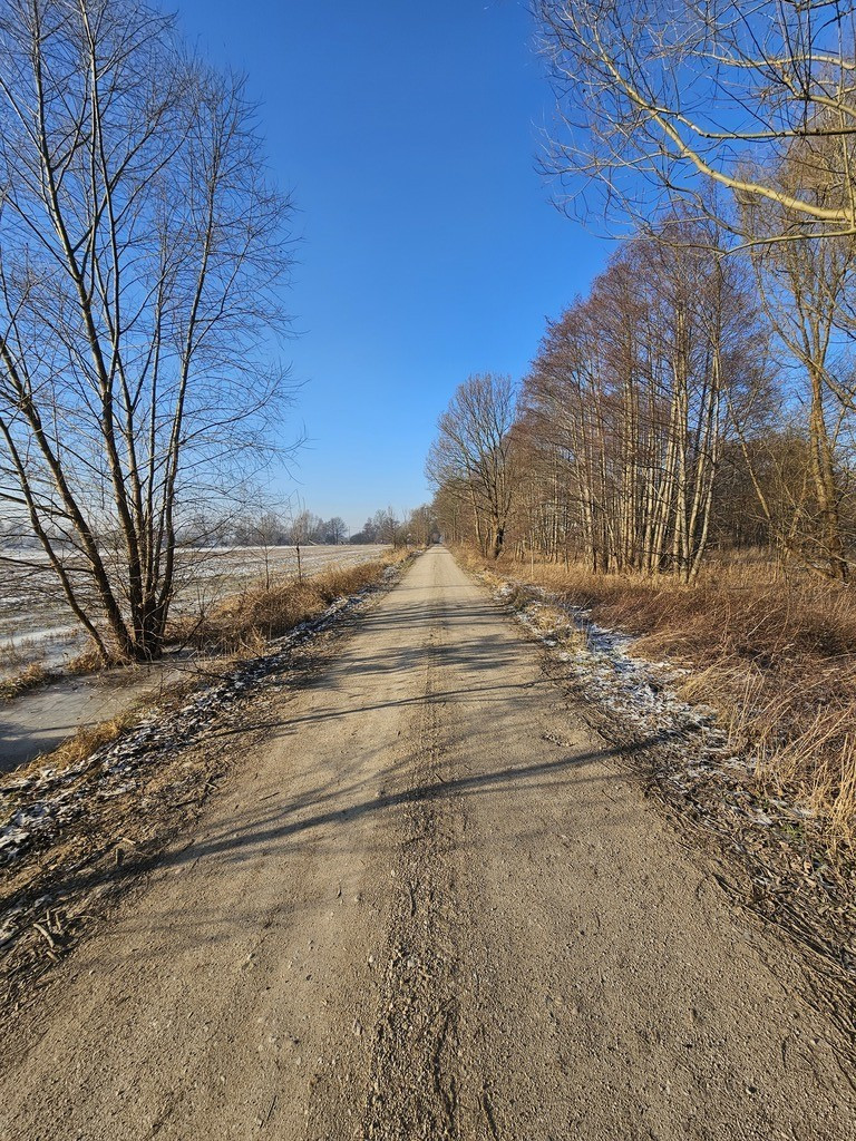 Działka Sprzedaż Ulim Rolna