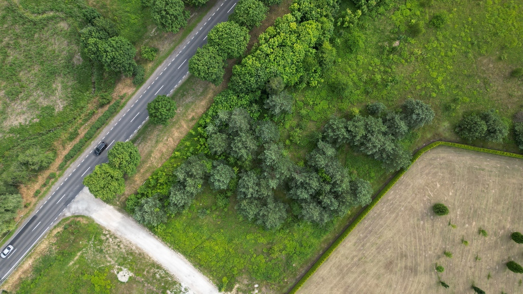 Działka Sprzedaż Różanki