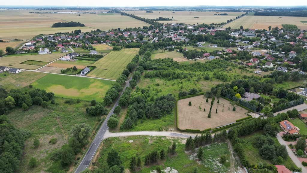 Działka Sprzedaż Różanki