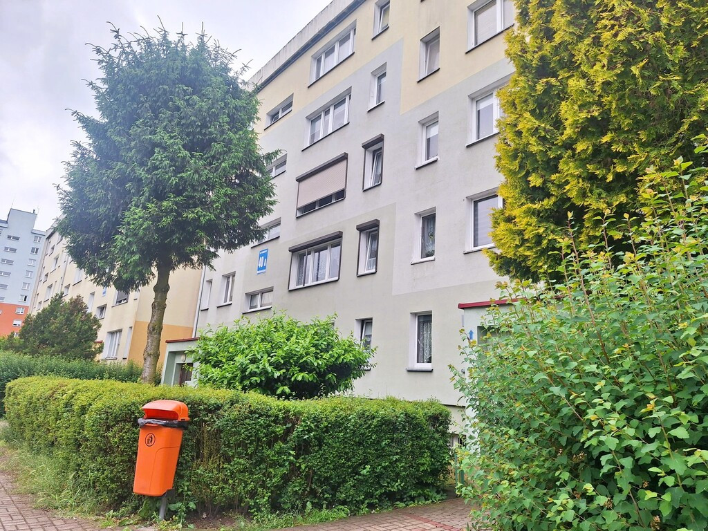 Mieszkanie Wynajem Gorzów Wielkopolski Górczyn