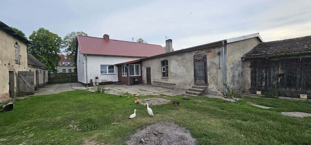 Dom Sprzedaż Rychnów