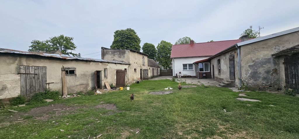 Dom Sprzedaż Rychnów