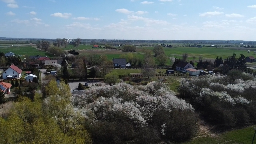 Działka Sprzedaż Wieprzyce