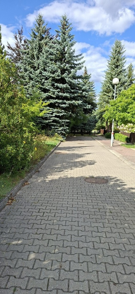 Dom Sprzedaż Gorzów Wielkopolski Górczyn
