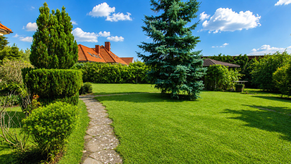 Dom Sprzedaż Gorzów Wielkopolski