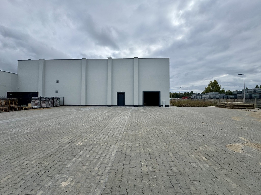 Lokal Wynajem Gorzów Wielkopolski