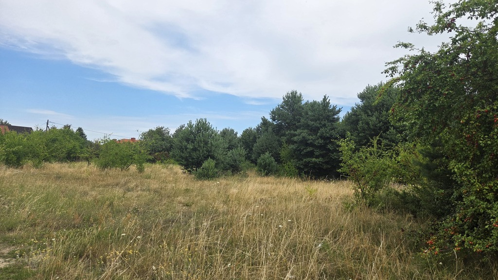 Działka Sprzedaż Santok