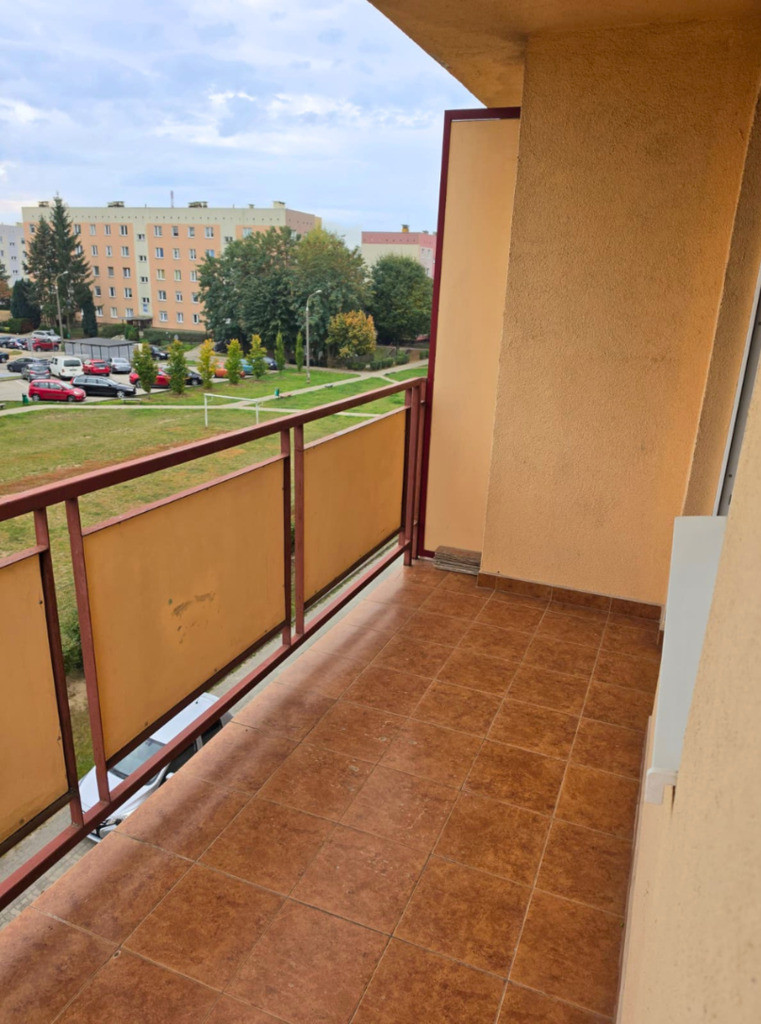 Mieszkanie Wynajem Gorzów Wielkopolski Batalionów Chłopskich