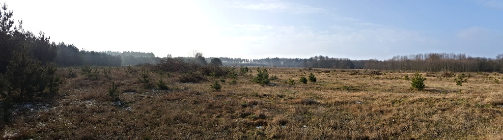 Działka Sprzedaż Santocko