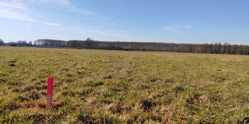 Działka Sprzedaż Bolemin