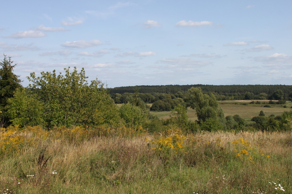 Działka Sprzedaż Chwalęcice