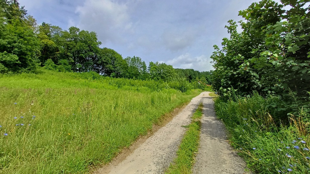 Działka Sprzedaż Jenin