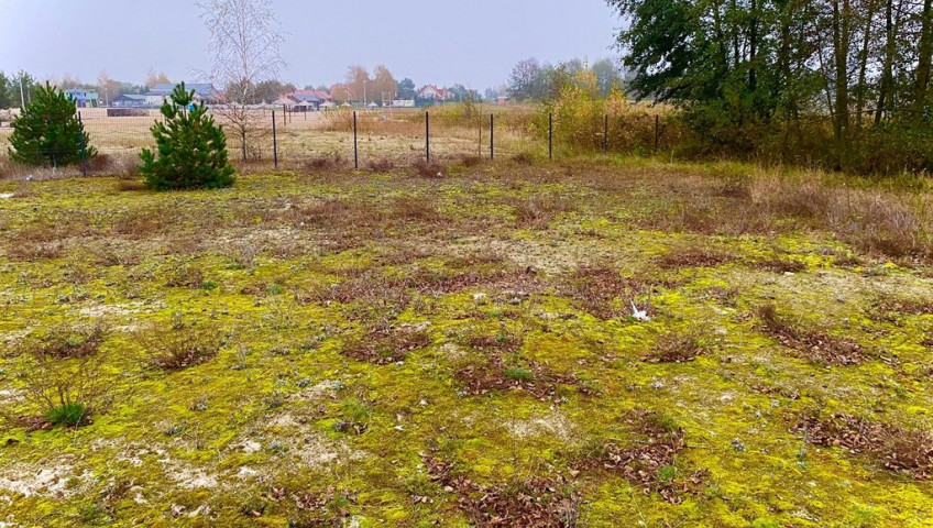 Działka Sprzedaż Karnin