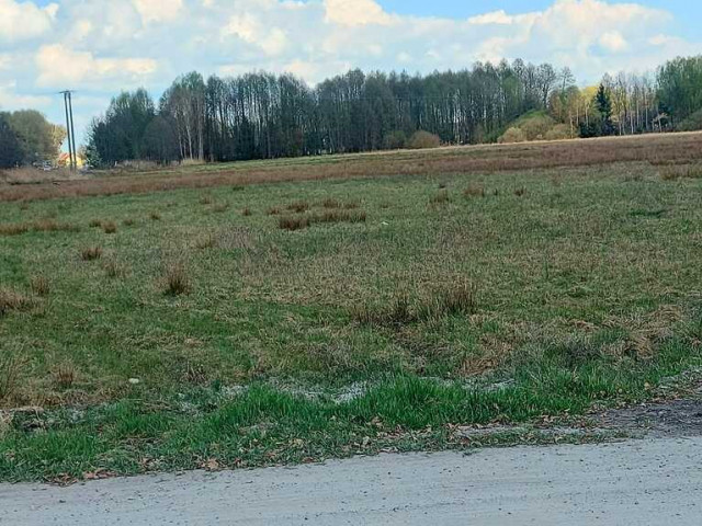 Działka Sprzedaż Rogi