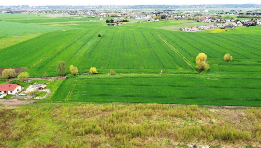 Działka Sprzedaż Gorzów Wielkopolski Karnin