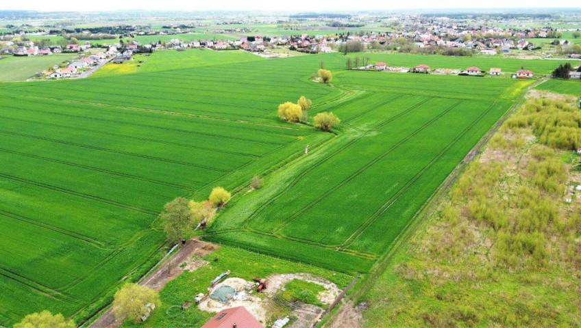Działka Sprzedaż Gorzów Wielkopolski Karnin