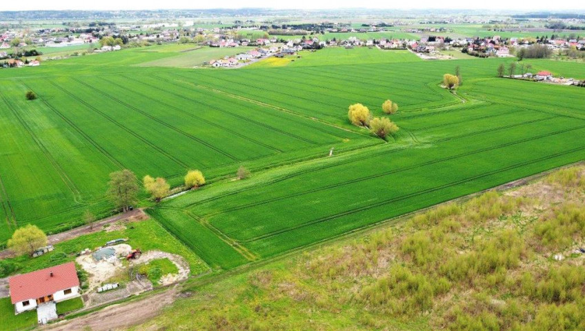 Działka Sprzedaż Gorzów Wielkopolski Karnin
