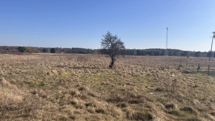 Działka Sprzedaż Łośno