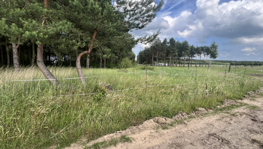Działka Sprzedaż Danków