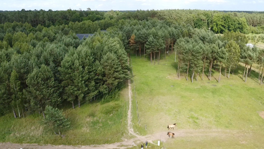 Działka Sprzedaż Danków