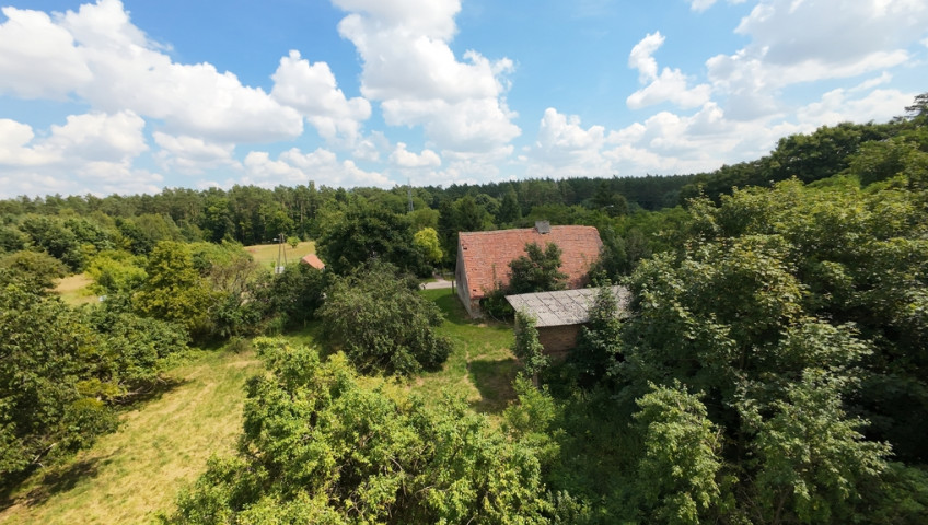 Dom Sprzedaż Jarząbki