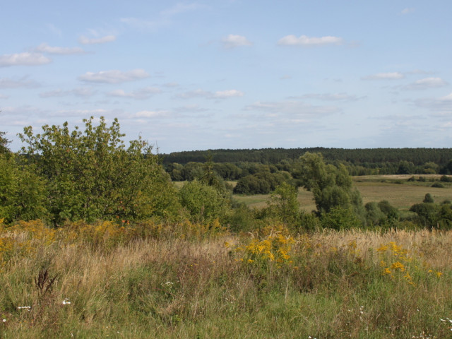 Działka Sprzedaż Chwalęcice