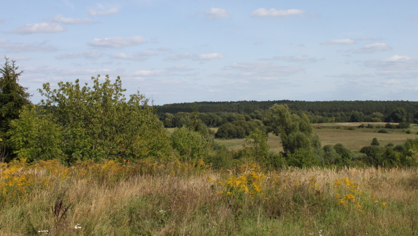 Działka Sprzedaż Chwalęcice