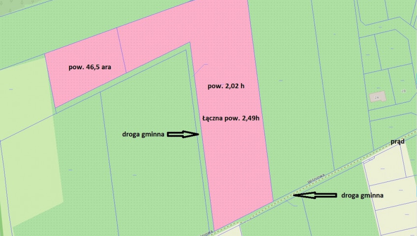 Działka Sprzedaż Skwierzyna Międzyrzecka