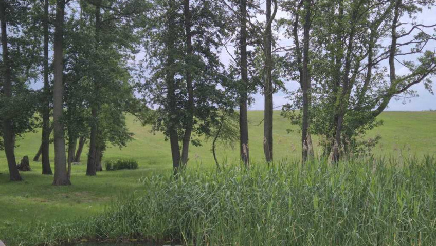 Działka Sprzedaż Stary Klukom