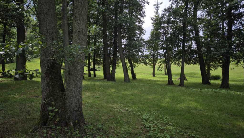 Działka Sprzedaż Stary Klukom