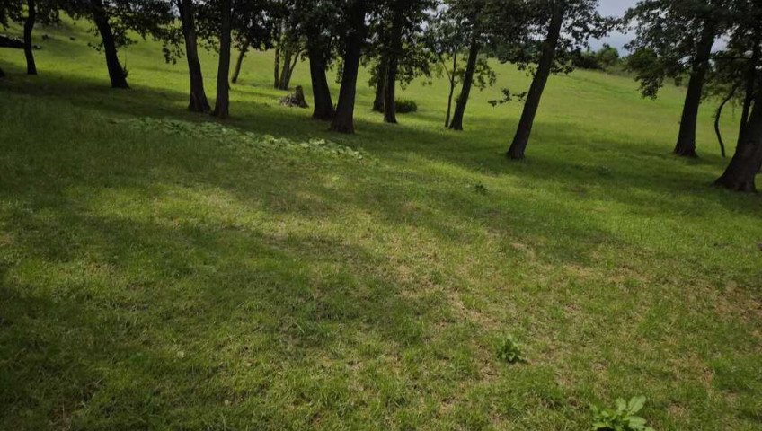 Działka Sprzedaż Stary Klukom