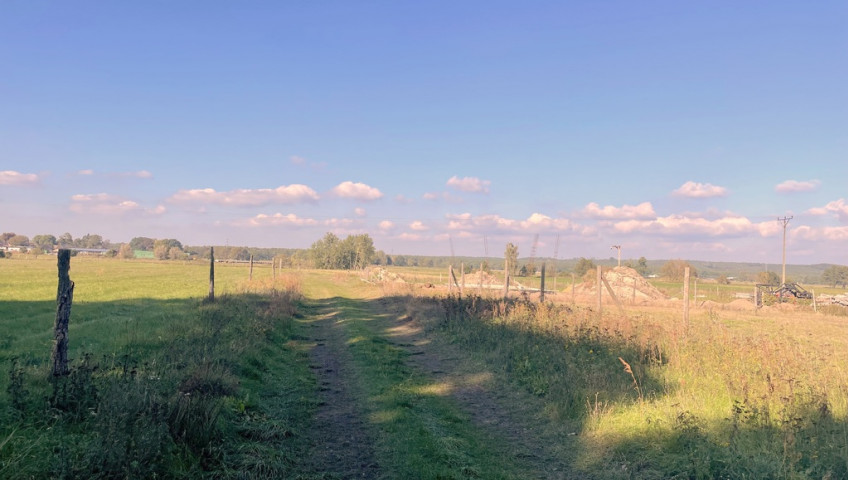 Działka Sprzedaż Pyrzany