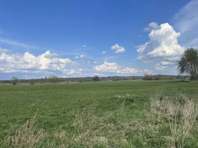 Działka Sprzedaż Pyrzany