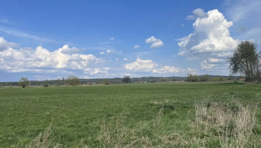 Działka Sprzedaż Pyrzany
