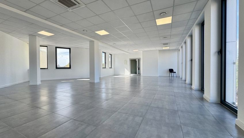 Lokal Wynajem Gorzów Wielkopolski Centrum
