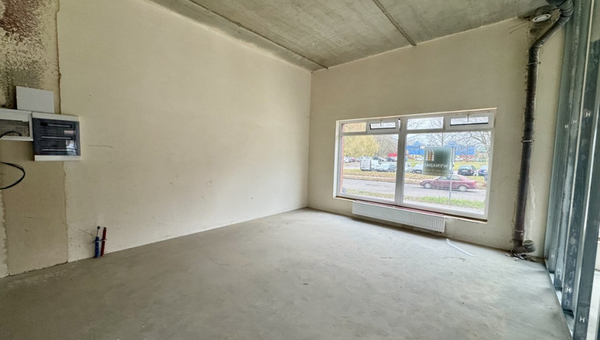 Lokal Wynajem Gorzów Wielkopolski Śródmieście