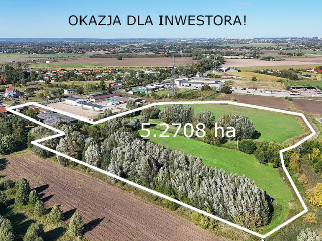 Działka Sprzedaż Deszczno