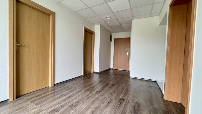 Lokal Wynajem Gorzów Wielkopolski Centrum