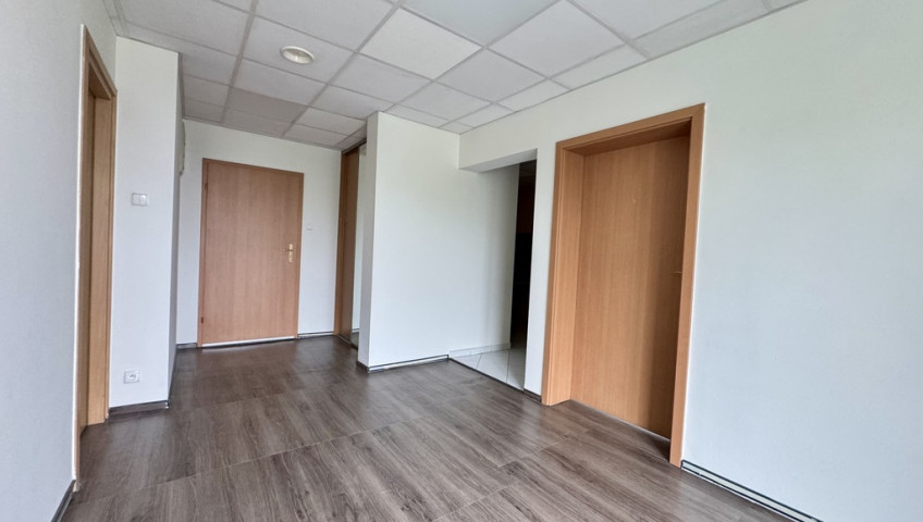 Lokal Wynajem Gorzów Wielkopolski Centrum